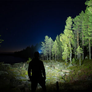 Ledwise Legend GEN 2 - Pilt 8