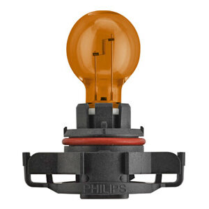 Philips pirn, PSY19W 2