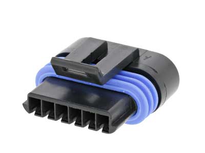 Pistiku korpus