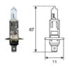 Magneti Marelli halogeenpirn H1