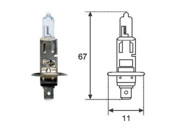 Magneti Marelli halogeenpirn H1