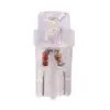 LED pirnipaar, W5W