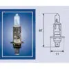 Magneti Marelli halogeenpirn H1, 70 W