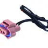 Pirnipesa, 1571-55040