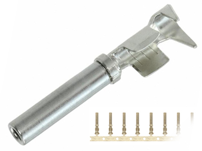 Deutsch Pistik, DT, 1605-N8K012