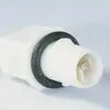 Pirnipesa