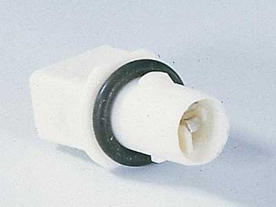 Pirnipesa