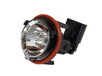 Pirnipesa, 12 V