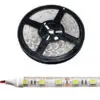 LED valgusriba 6000K, 1 cm