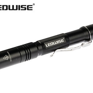 Ledwise Little one 2