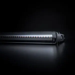 Strands Siberia LOW Rider 10" 4
