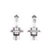 Halogeenpirnid Purelux Blaze H4
